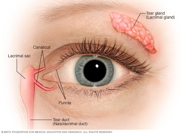 Dry Eye Disease